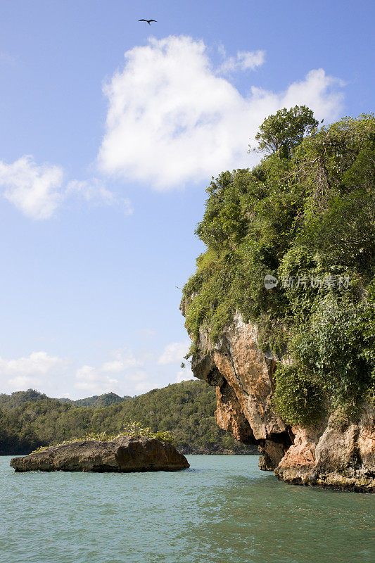 露出地面的岩石，多米尼加共和国Los Haitises NP